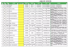 房地产计划经理管理项目|地产主项计划模板案例